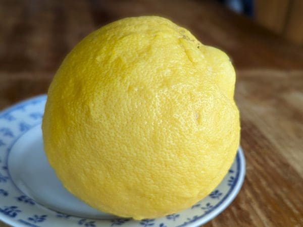 Citron rustique, pamplemousse Sotchi